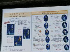 -富田农场