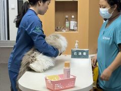 -联合动物医院(光谷诊疗中心)
