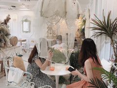 -共舞时光猫咖·狗咖(新街口店)