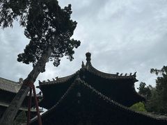 -报恩寺(平武县)