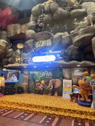 -卡通尼·Safari非洲探索乐园·生日会(金桥国际商业广场店)