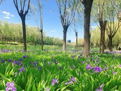 -中关村生命科学园