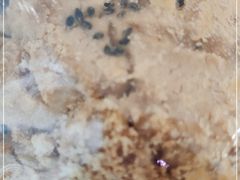 -皇冠幸福里动物奶油生日蛋糕(万达店)