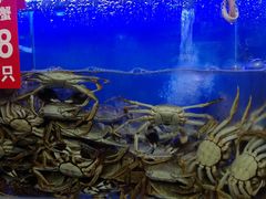 水产区-青石桥市场北1-27号