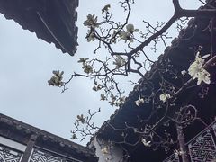 -何园