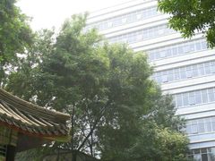 -北京大学口腔医院(魏公村总院)