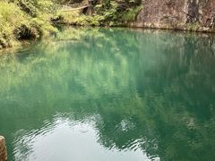 -大奇山国家森林公园