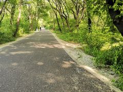 -北陵公园