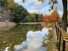 -常寂光寺