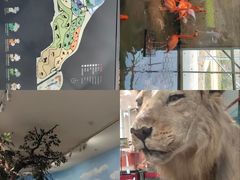 -太原动物园