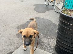 -爱侣宠医·鹦鹉专科·小型哺乳类·异宠专科(灵石路店)