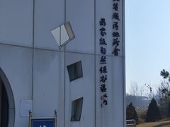 -盐城丹顶鹤湿地生态旅游区