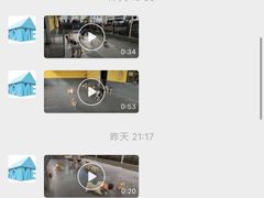 -宠物之家Pets Home 宠物寄养酒店
