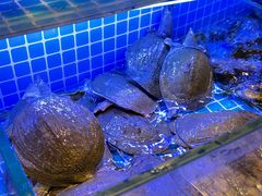 -千家粗粮王(MOMOPARK店)