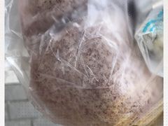 -秋林公司(北大街店)