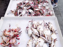 -新隆嘉 供销超市(修竹商场店)