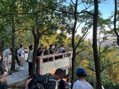 -火炉山森林公园
