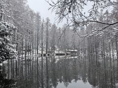-波尔登森林公园