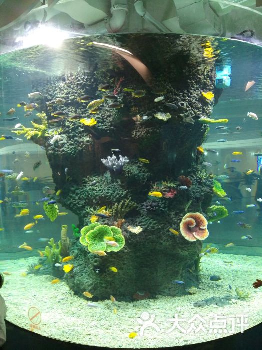 雨花客厅epark图片 - 第7张