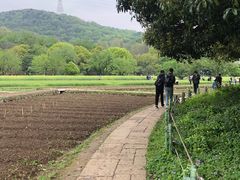 -八卦田遗址公园