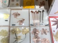 -百新书局(尚悦湾店)
