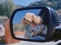 -蟠龙山长城景区