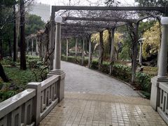 -叶家花园