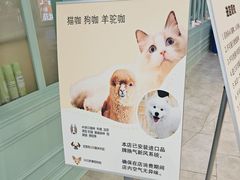 -安格丽娜·狗咖·猫咖羊驼咖(春熙路百盛商场店)