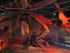 -正佳自然科学博物馆