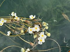 -丽江泸沽湖景区