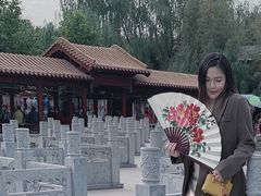 -神州牡丹园