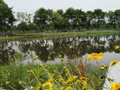 -金谷域澳洲庄园