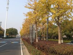 -蠡湖大桥公园