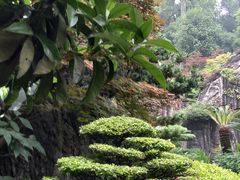 -南山植物园