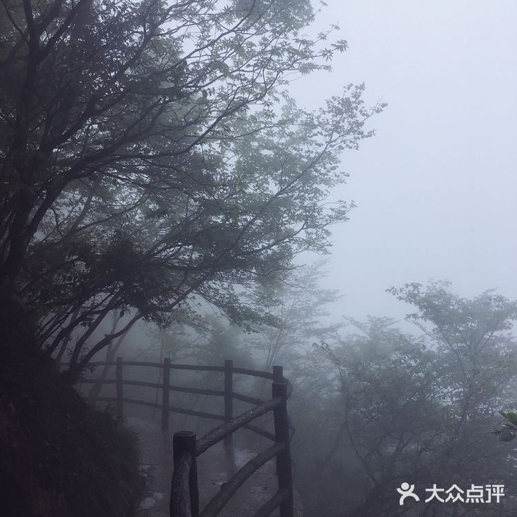 人间四月芳菲尽 花台杜鹃始盛开