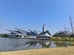 -盐城丹顶鹤湿地生态旅游区