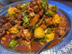 -俭寨大盘鸡·新疆菜·烧烤(博乐店)