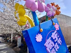 -高东镇樱花园