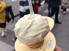 马拉加冰淇淋很浓郁-野人先生现做冰淇淋(西安赛格店)