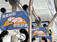 -帕帕拉兹宠物(亚洲旗舰店)