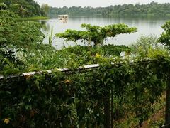 android_upload_pic-河川生态园