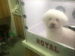 -康乐宝动物医院