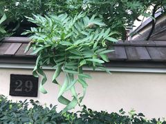 -金石唐风国际温泉会馆