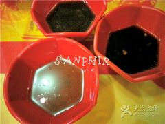 -老谢龙虾(芜湖路店)