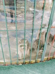 -萌宠亲子动物乐园(槐房万达店)