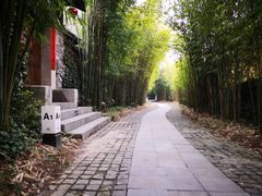 -崇阳三特浪口温泉
