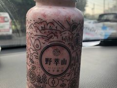 -野萃山·潮汕厚果汁(十亩地店)