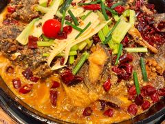 -老板恋上鱼(恒隆广场店)