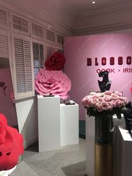 -OOAK设计师品牌概念店(新乐路店)