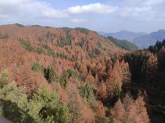 -山王坪喀斯特国家生态公园